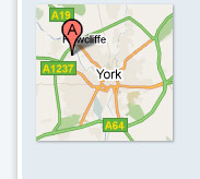 Find Us! Find Us!